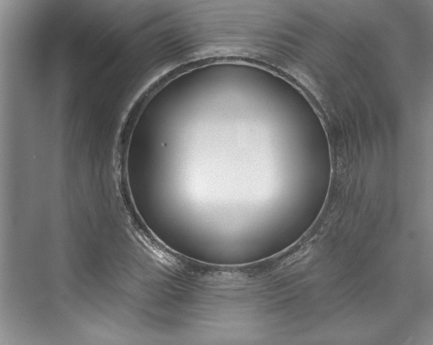 X0000073421119200608111344