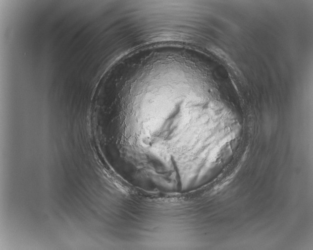 X0000073421121200608111344