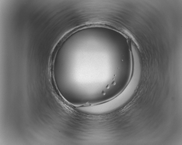 X0000073421124200608111344