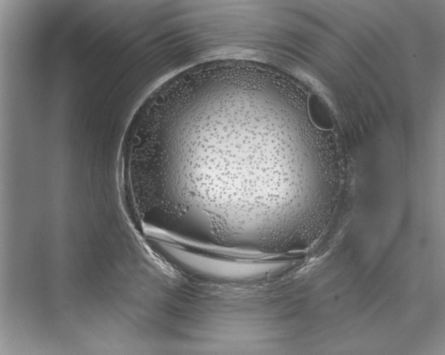 X0000073421125200608111344