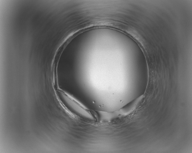 X0000073421127200608111344