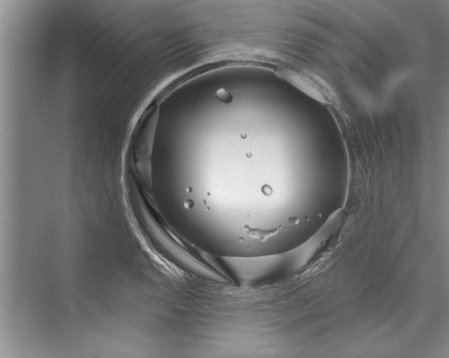 X0000073421128200608111344