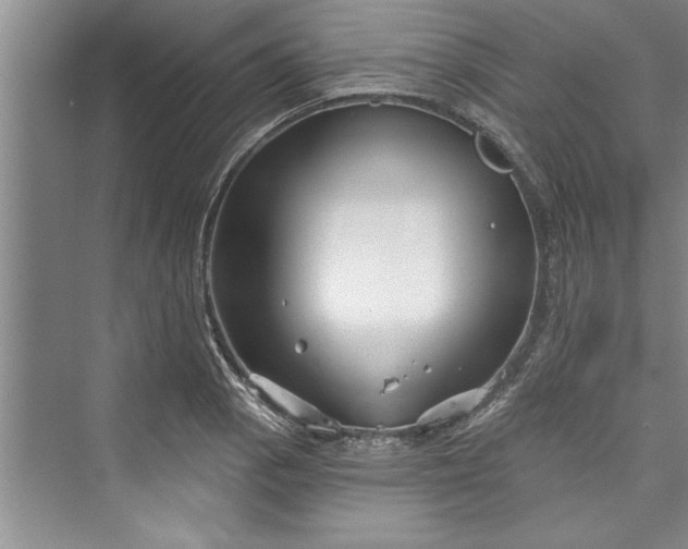 X0000073421129200608111344