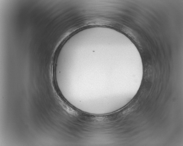 X0000073421130200608111344