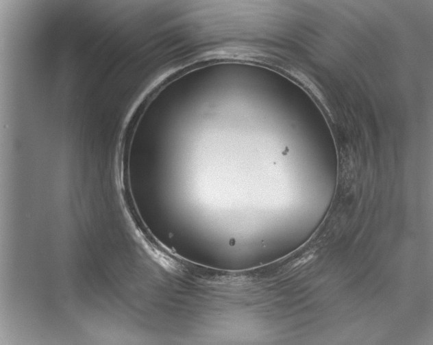 X0000073421131200608111344