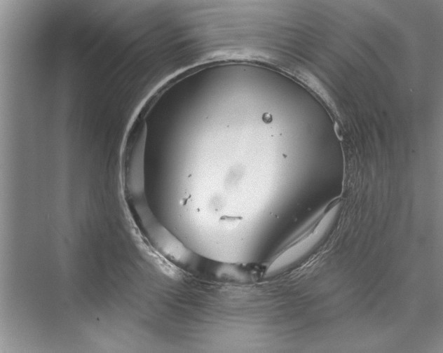 X0000073421132200608111344