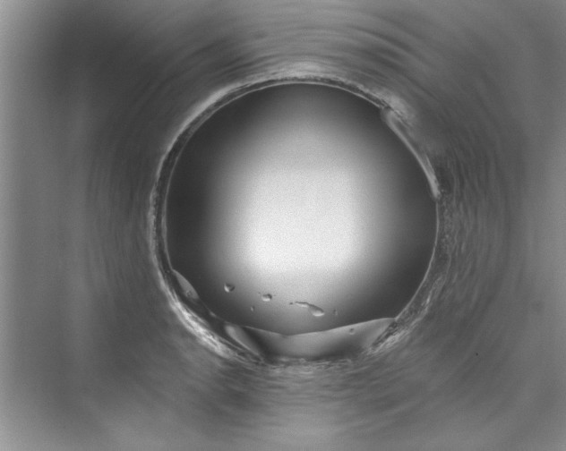 X0000073421134200608111344