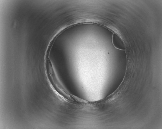 X0000073421135200608111344