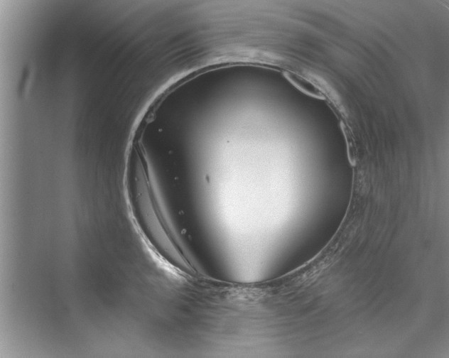 X0000073421136200608111344