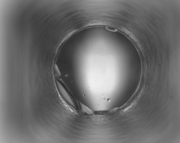 X0000073421137200608111344