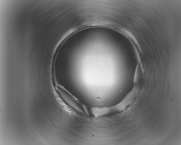 X0000073421138200608111344