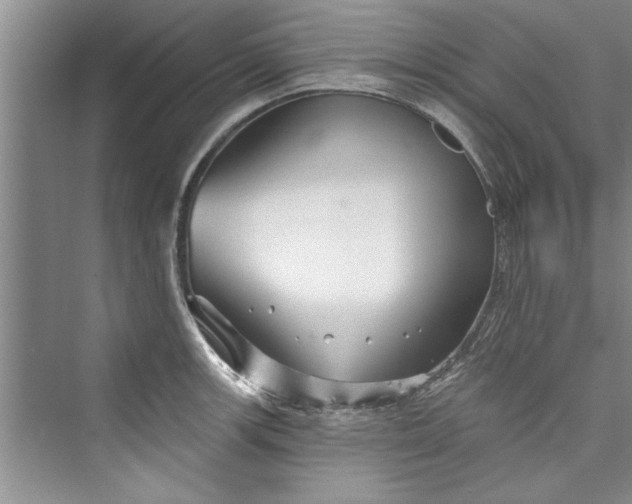 X0000073421139200608111344