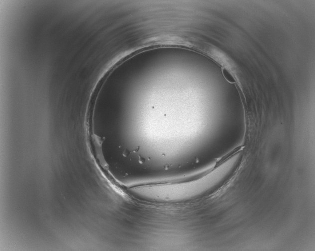 X0000073421141200608111344