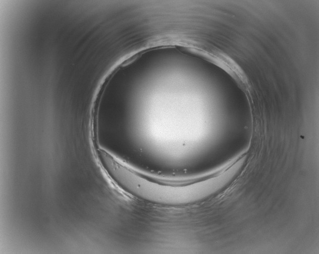 X0000073421144200608111344