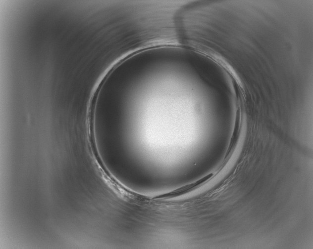 X0000073421148200608111344