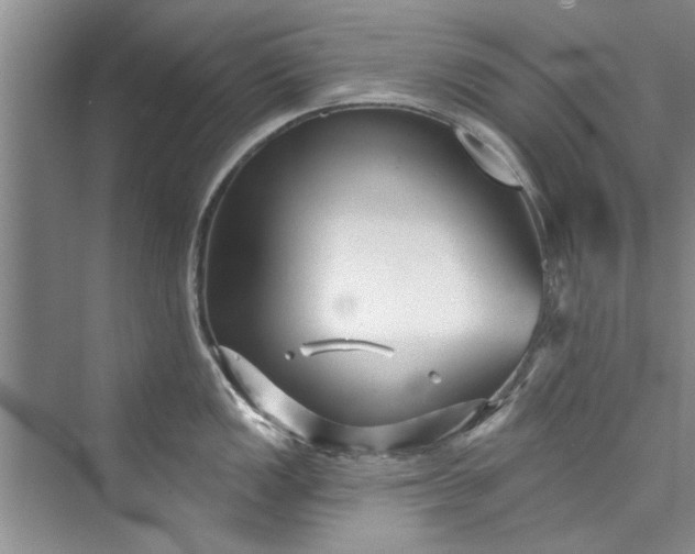 X0000073421149200608111344