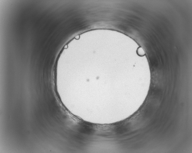 X0000073421150200608111344