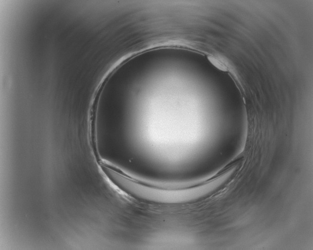 X0000073421151200608111344