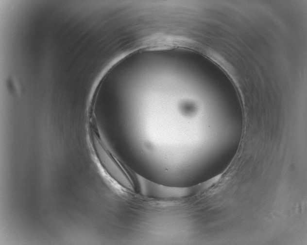 X0000073421152200608111344