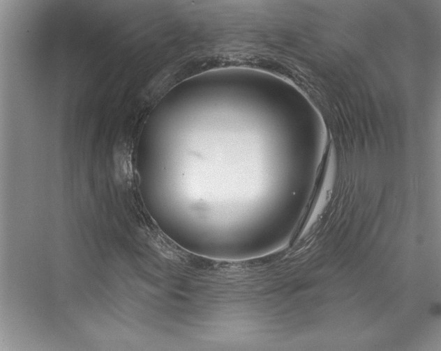 X0000073421155200608111343