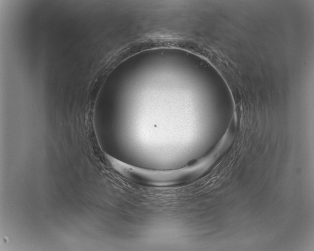 X0000073421157200608111343