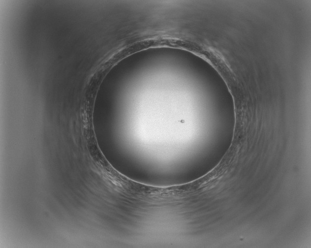 X0000073421159200608111343