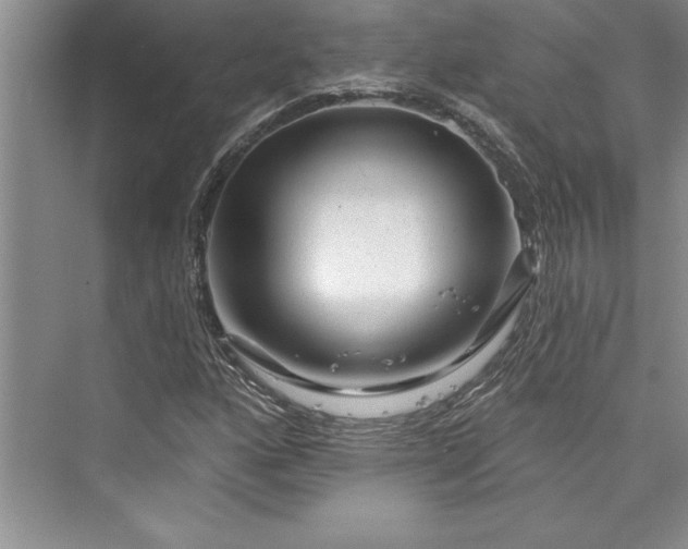 X0000073421160200608111343