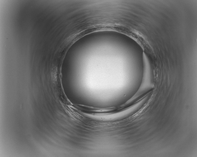 X0000073421161200608111343