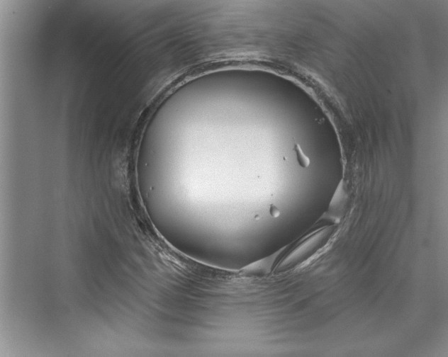 X0000073421162200608111343