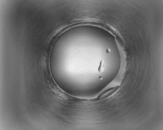 X0000073421163200608111343