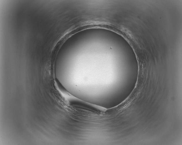 X0000073421165200608111343