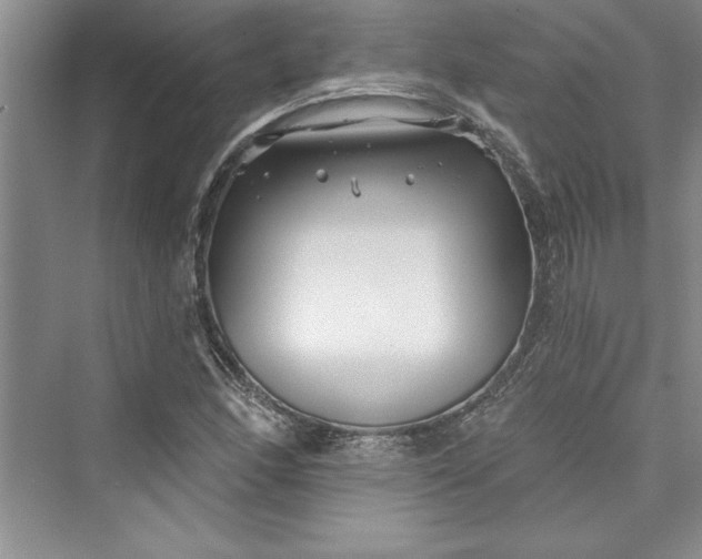 X0000073421166200608111343