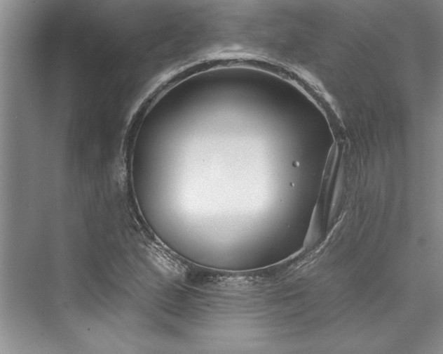 X0000073421167200608111343