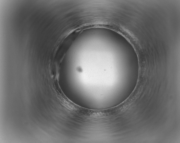 X0000073421169200608111343