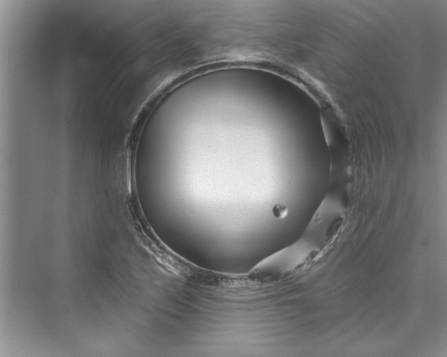 X0000073421171200608111343