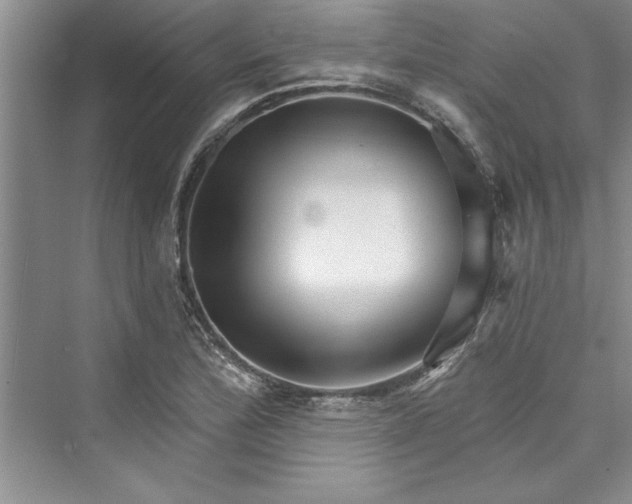 X0000073421172200608111343