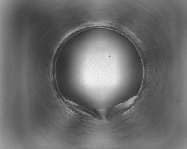 X0000073421174200608111343