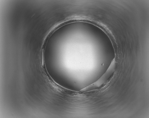 X0000073421175200608111343