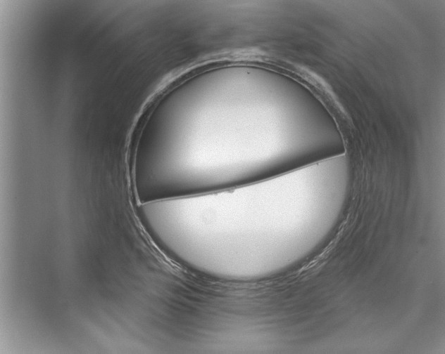 X0000073421176200608111343