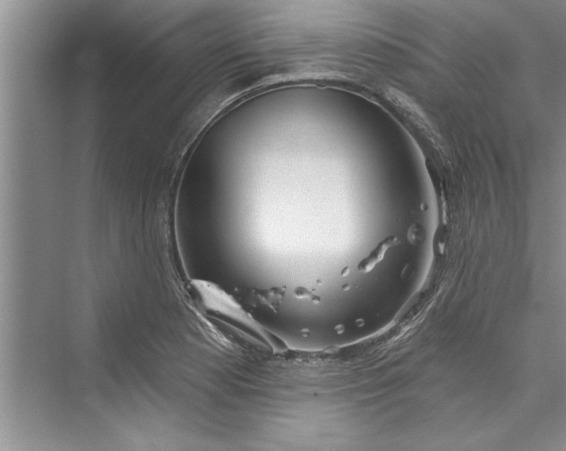 X0000073421177200608111343