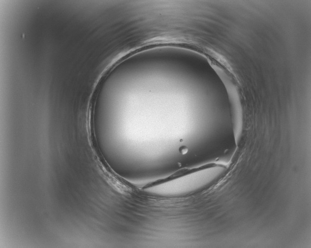 X0000073421179200608111343