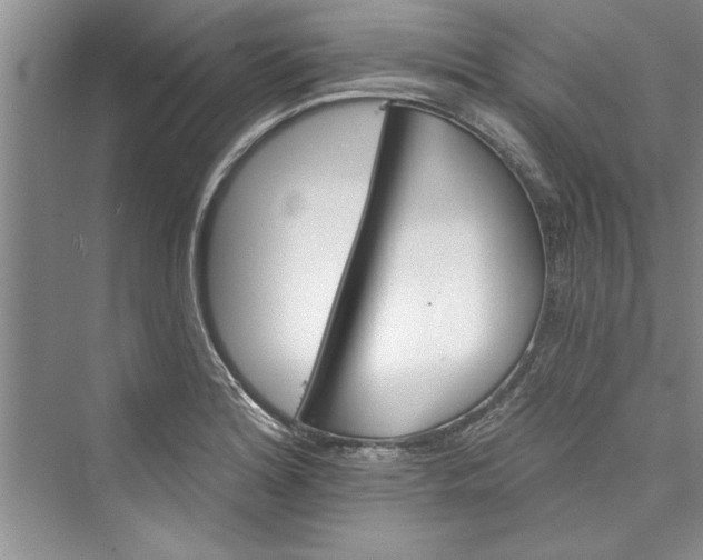 X0000073421180200608111343