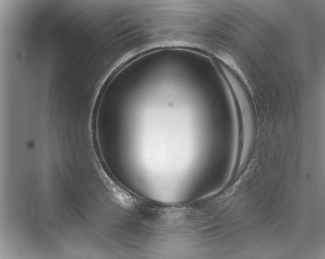 X0000073421181200608111343