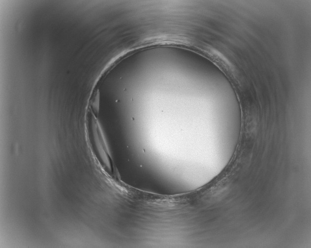 X0000073421182200608111343