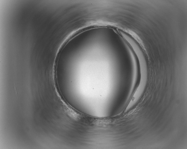 X0000073421183200608111343