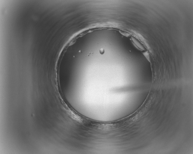 X0000073421184200608111343