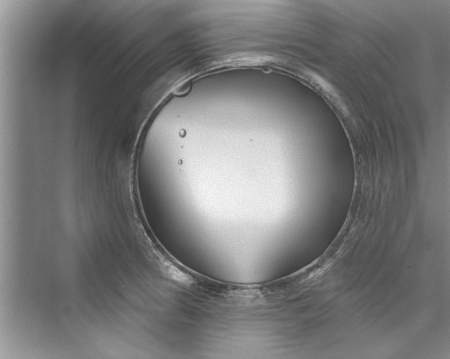 X0000073421186200608111343