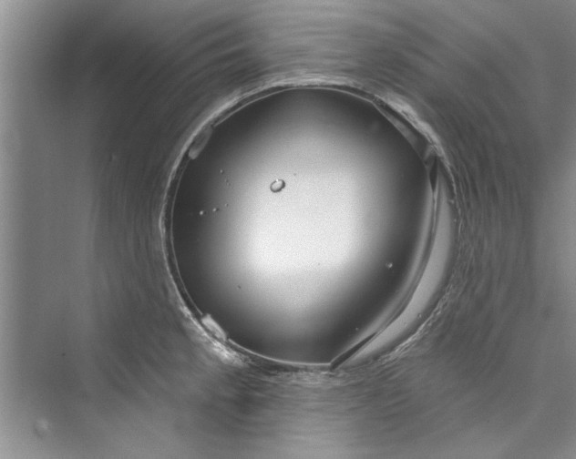 X0000073421189200608111343