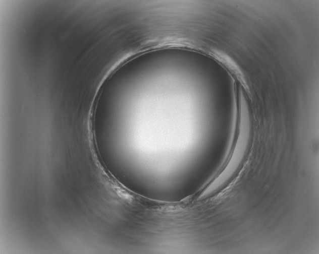 X0000073421190200608111343