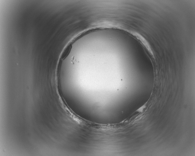 X0000073421191200608111343